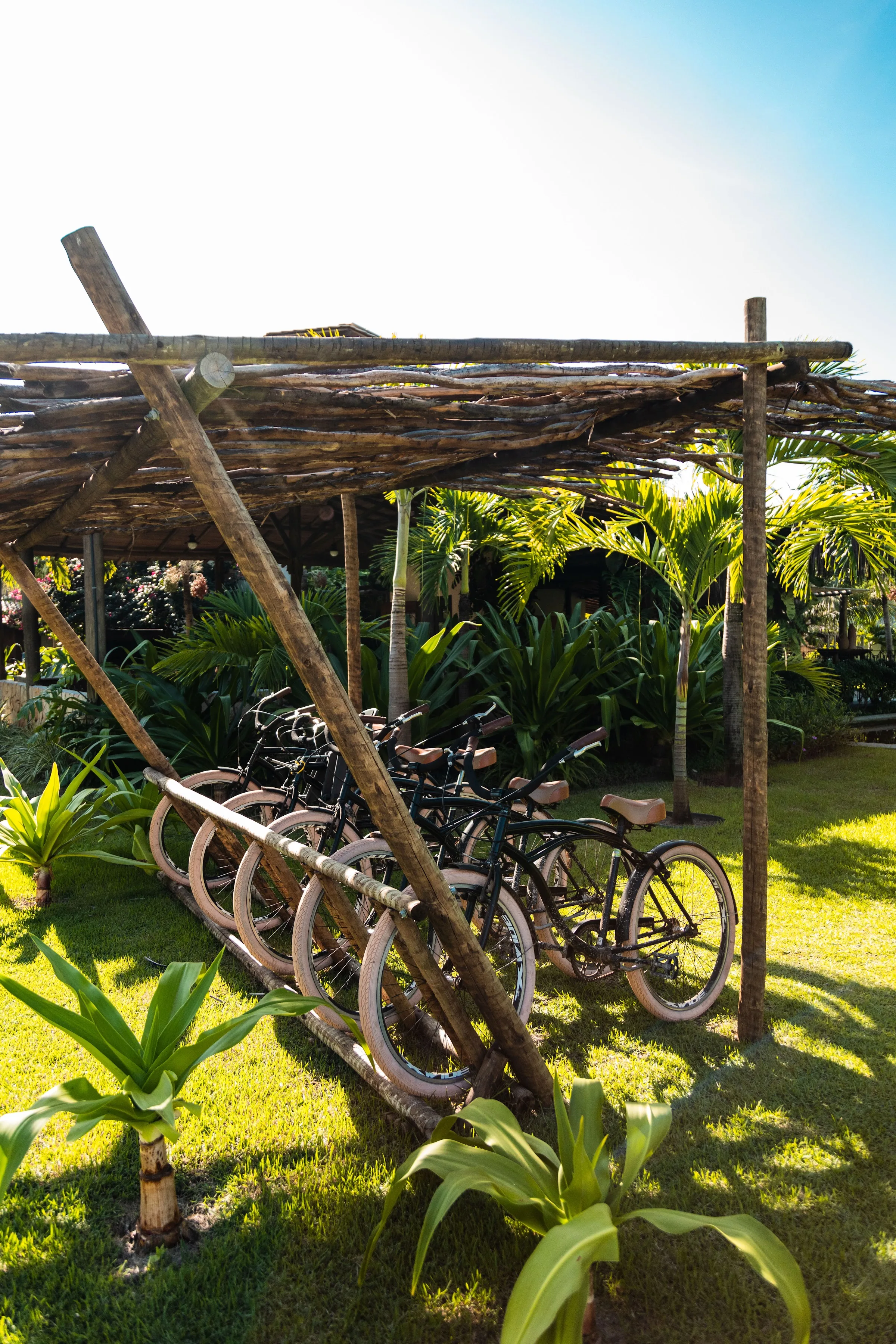 Bicicletas disponíveis na Ocacocar